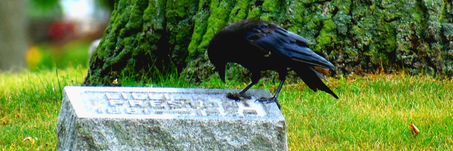 PfeifferDan's profile banner image
