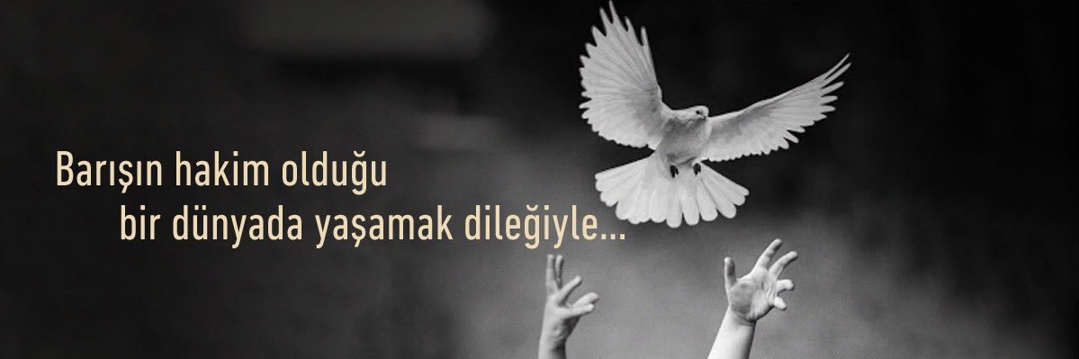 BayAy24's profile banner image