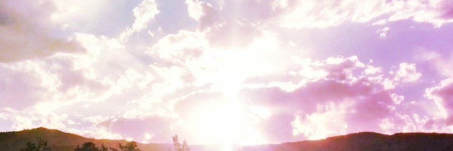 edina3535's profile banner image
