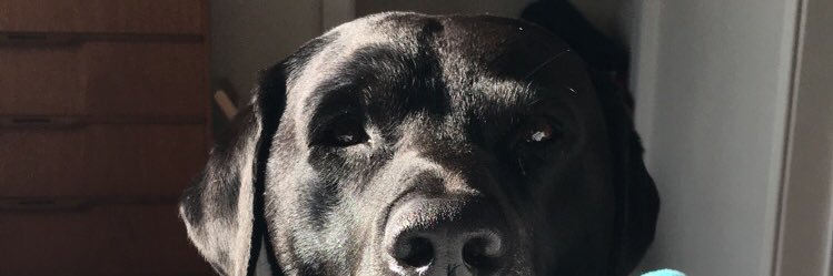 nickyroll89's profile banner image