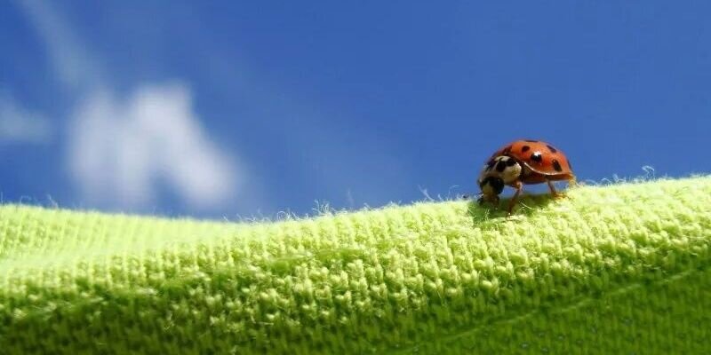 Clare O'Brien banner