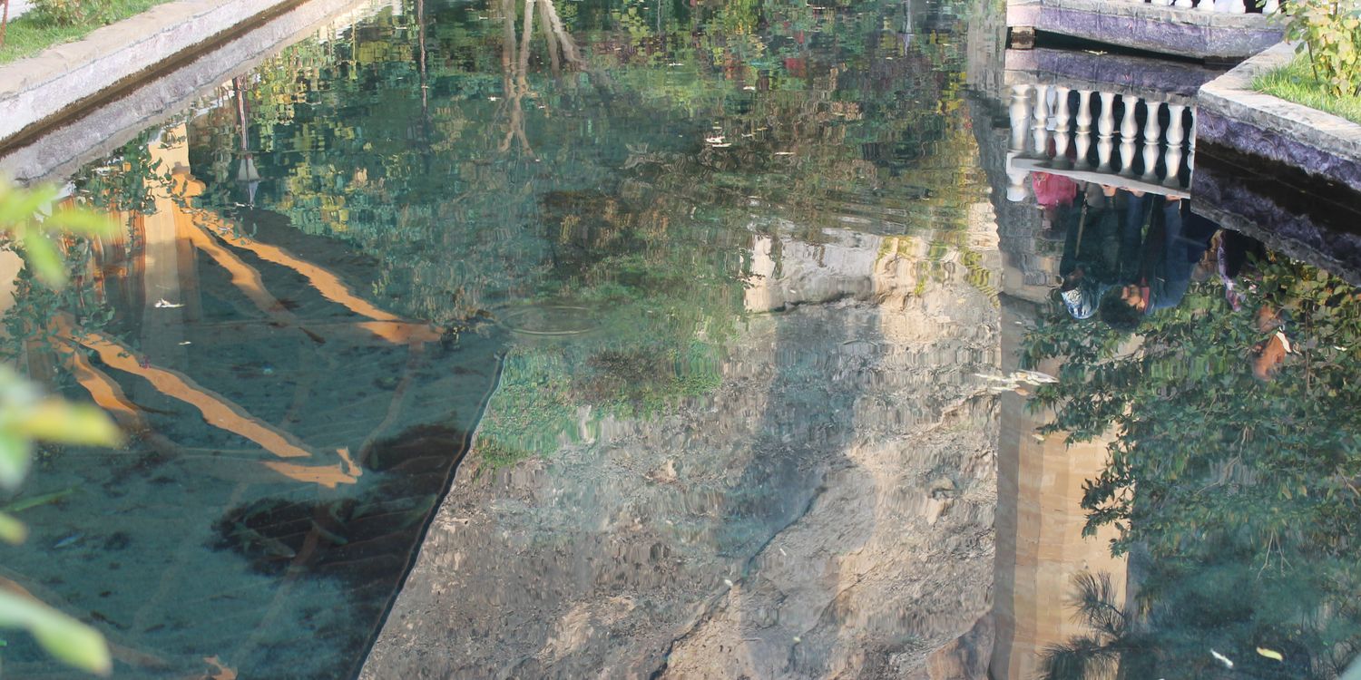 halimeslp's profile banner image