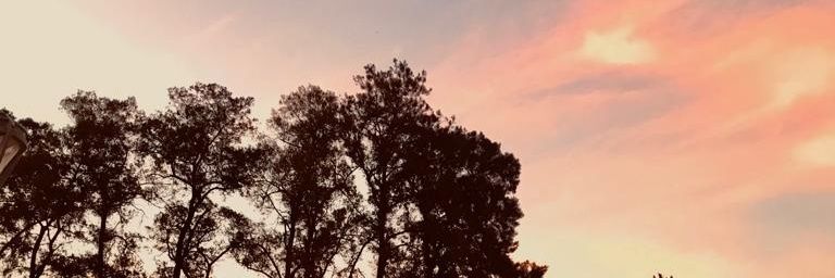 EveBurgui's profile banner image