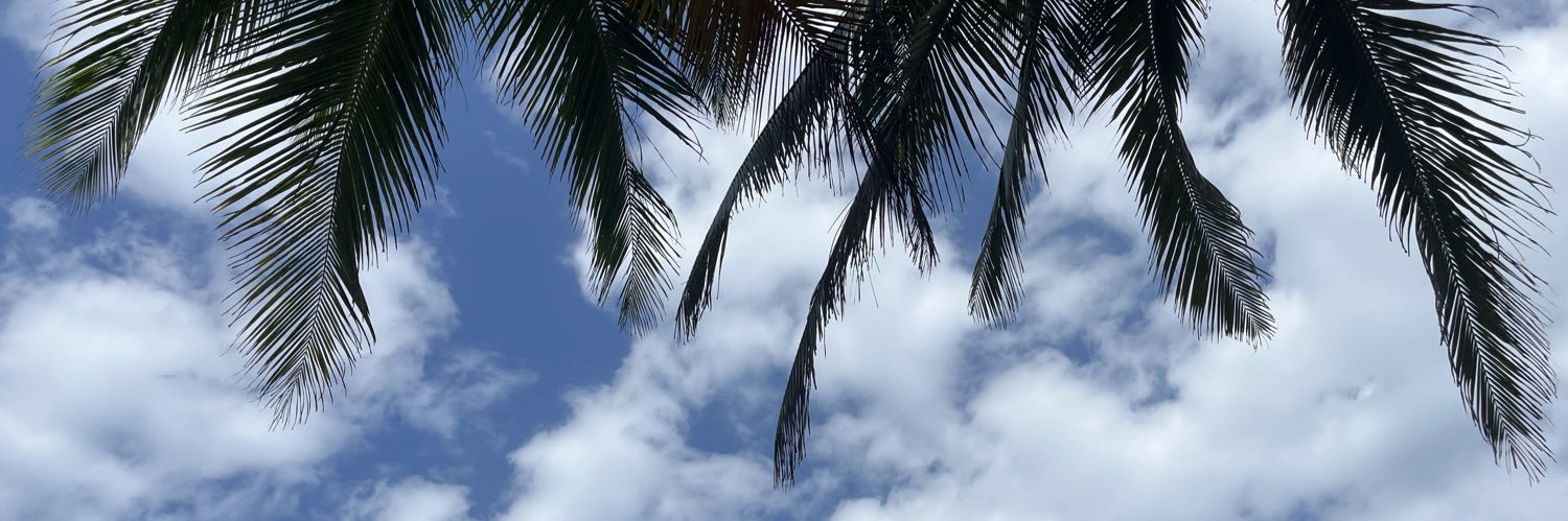 milo_osorio1's profile banner image