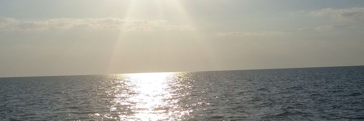 DaniC90's profile banner image