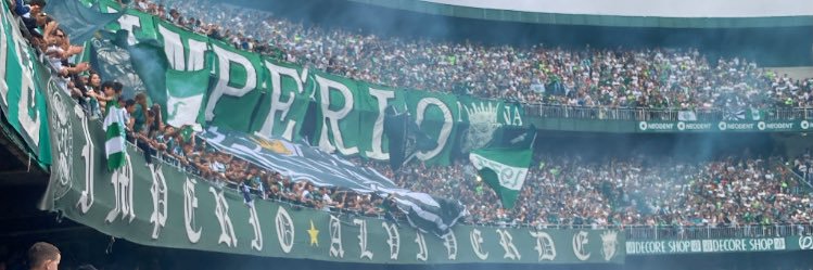 madu banner