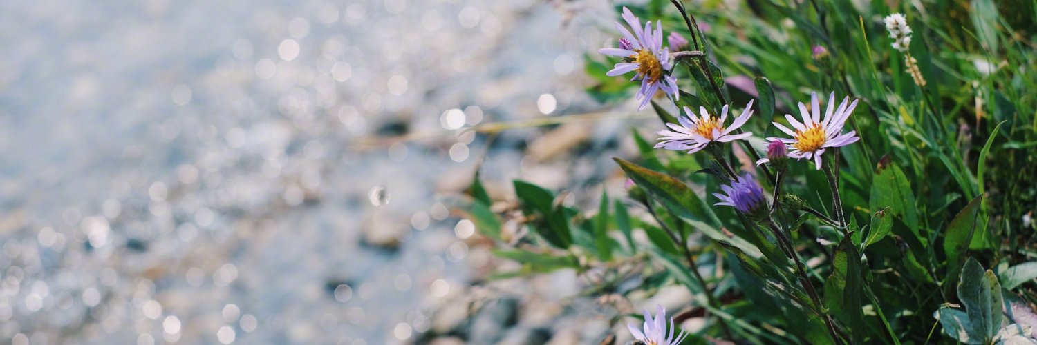 clagmedia's profile banner image
