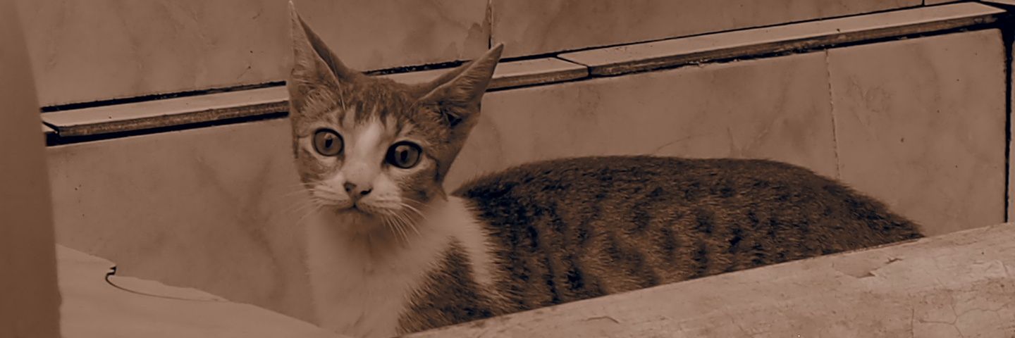 soulyain's profile banner image