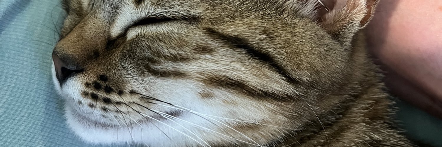 CCClaireCooper's profile banner image