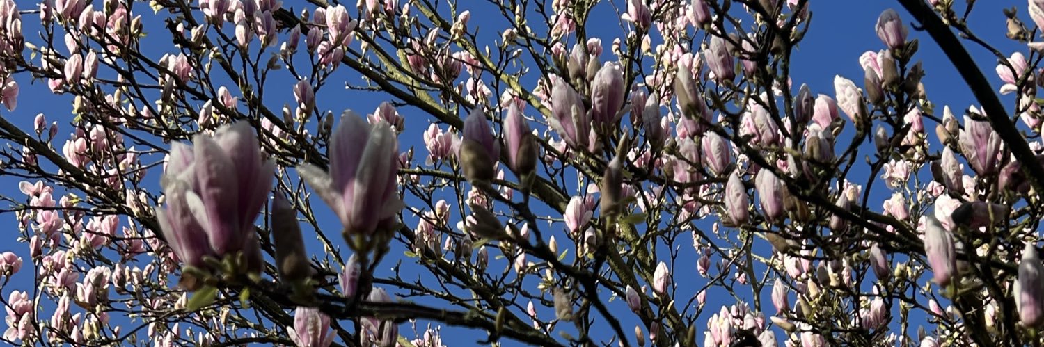 Elizabeth 🪻 banner