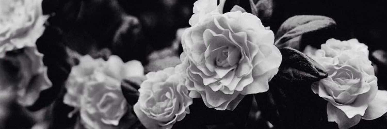 el 🐼 ☽̶☾ banner
