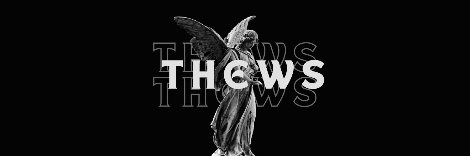 thews010's profile banner image