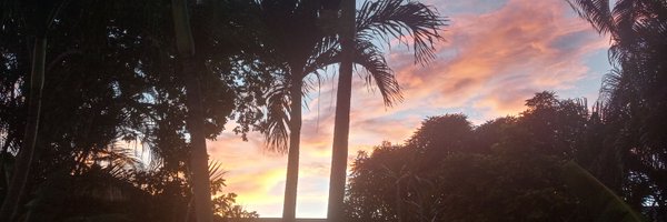 ToniHartt Profile Banner