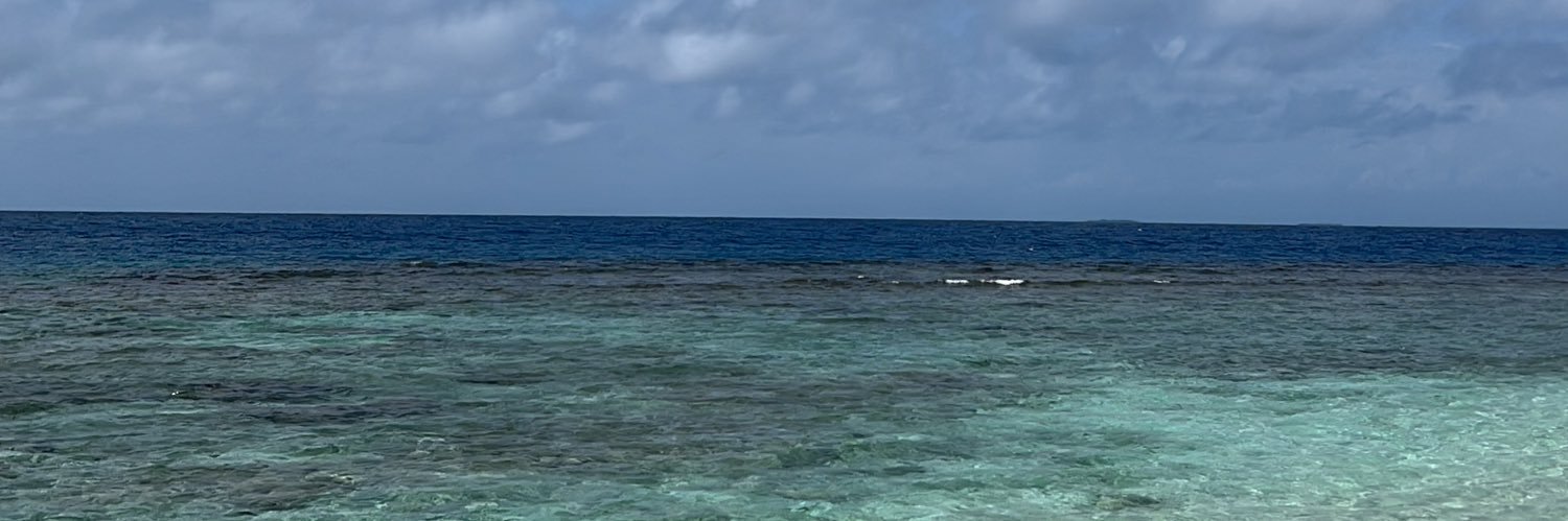 KathyFalcon's profile banner image