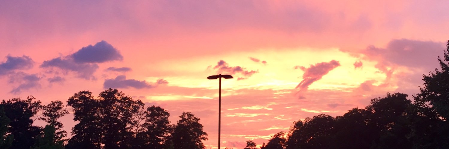 jenniferlevy's profile banner image