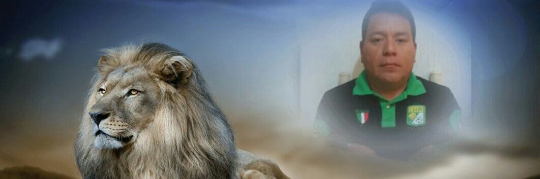 ppfiera's profile banner image