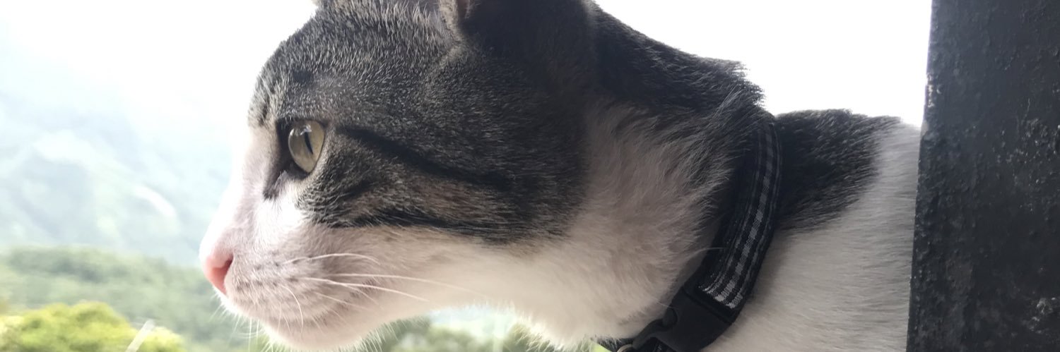 Montoyaaaa_'s profile banner image