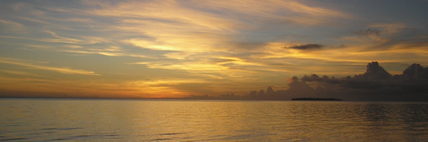 edykrit22's profile banner image