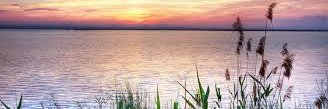 gєηєгάl l๏vє banner