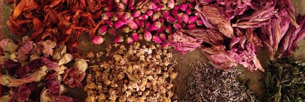UrbanBotanicals's profile banner image