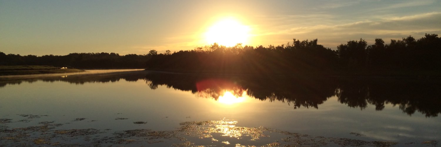 MPDickinson's profile banner image