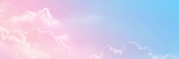 Michelle Scala ❤️‍🔥 banner