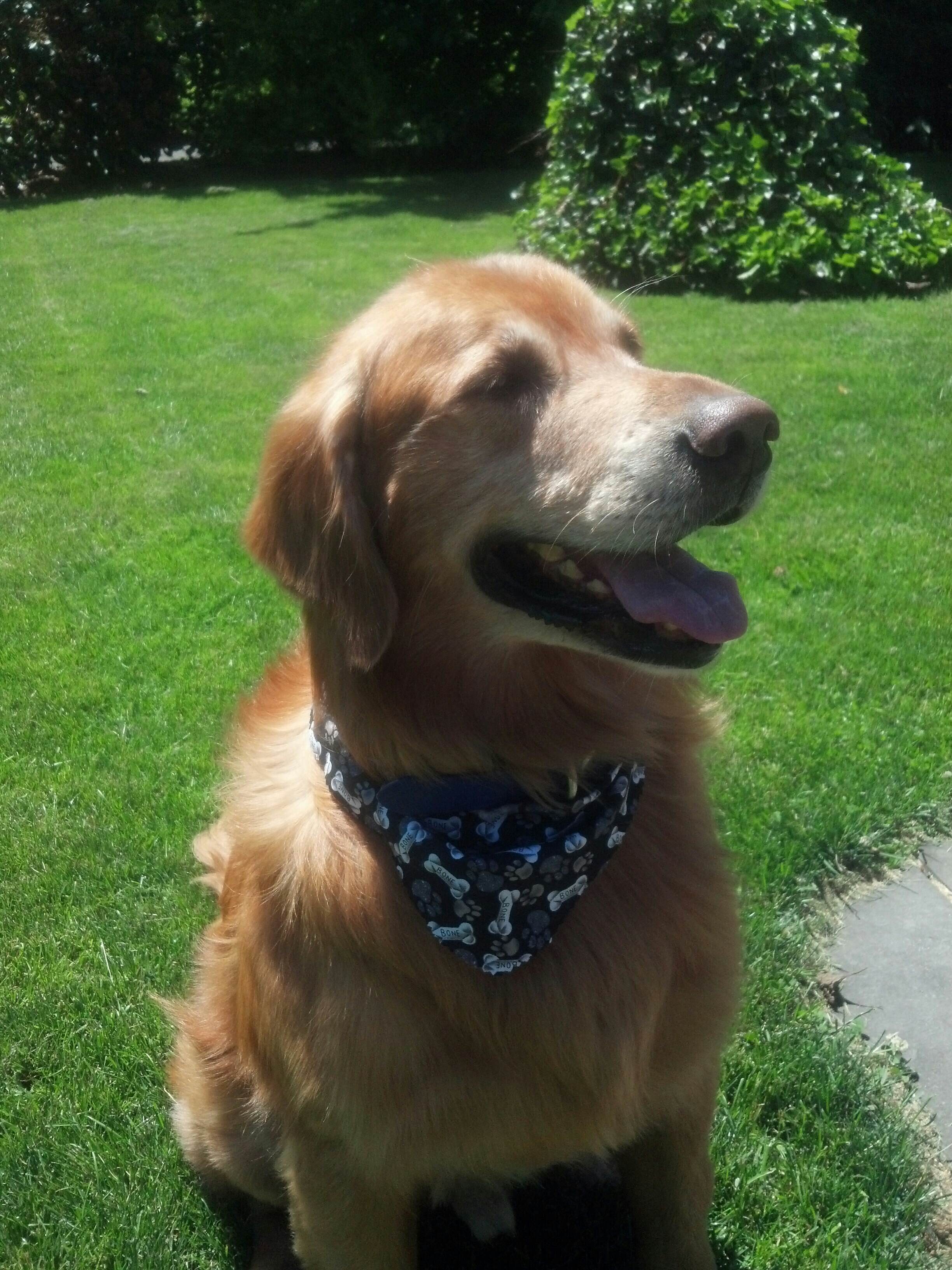 Christopher Grace banner