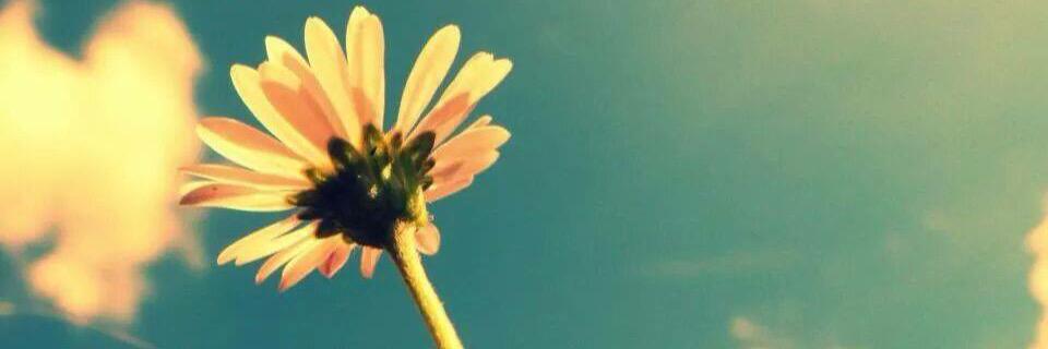 lyss_sav13's profile banner image