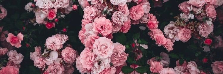 💚 banner