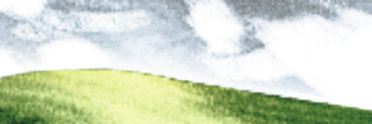 Tomboeski's profile banner image