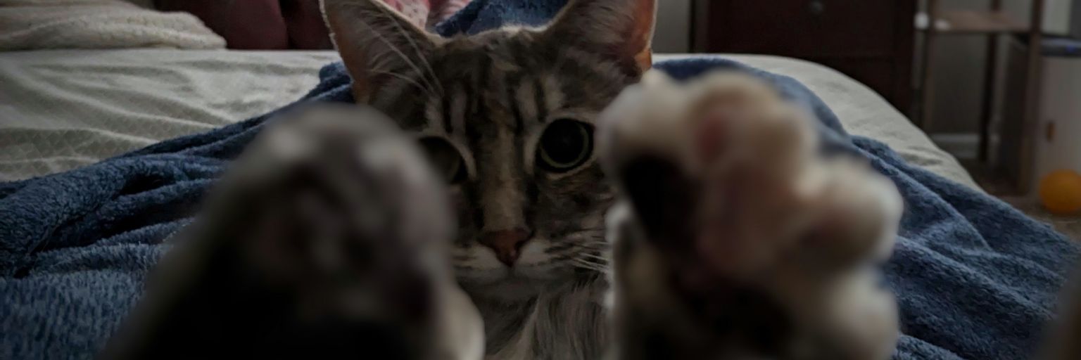 jamirants's profile banner image