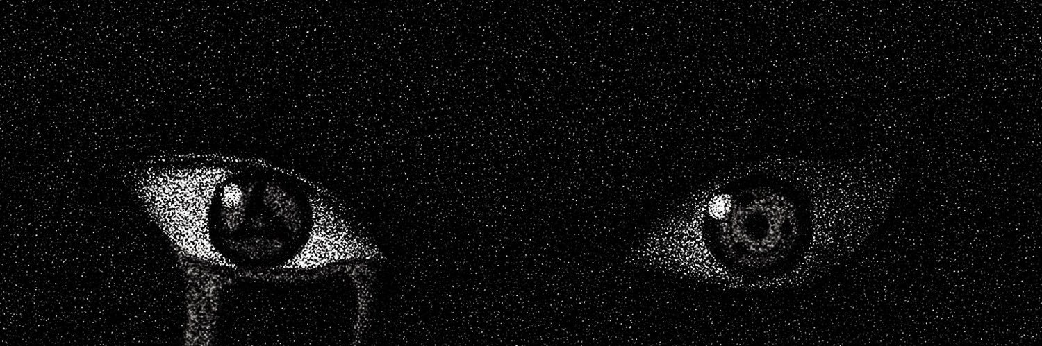 delihammmm's profile banner image
