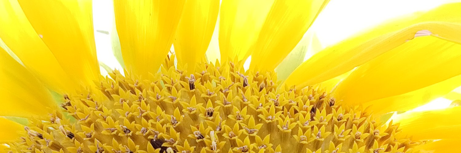 black_metta's profile banner image
