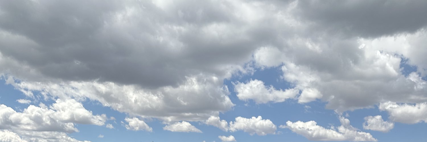 dizzledyl's profile banner image