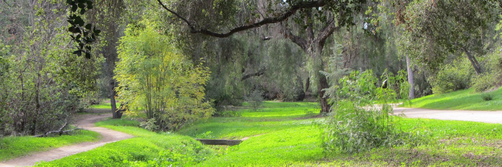 BruceWWhitaker's profile banner image
