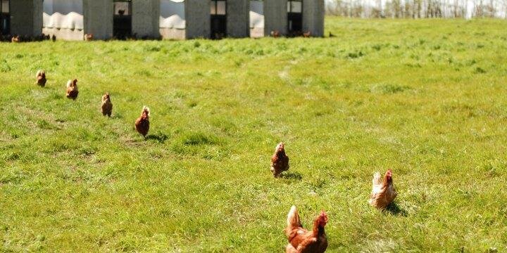 Sunworks Farm banner