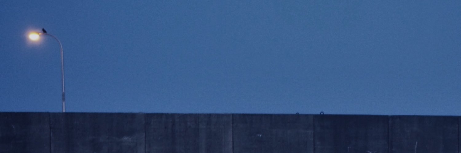 J_R_S_K_2's profile banner image
