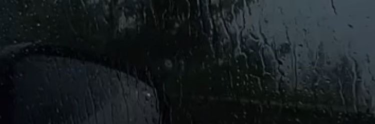 croffousw's profile banner image