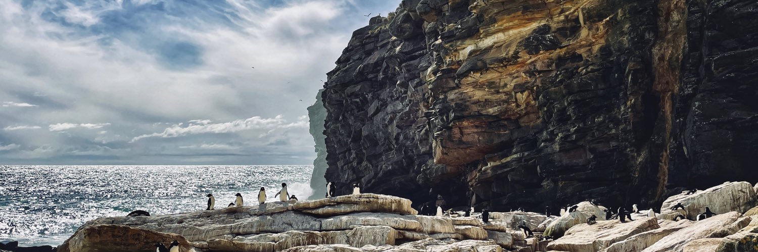 Andrea Barlow 🇫🇰🇬🇧🇨🇱 banner