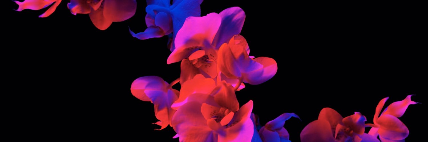 livpossible_'s profile banner image