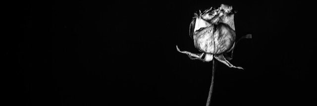 upcomingboss__'s profile banner image