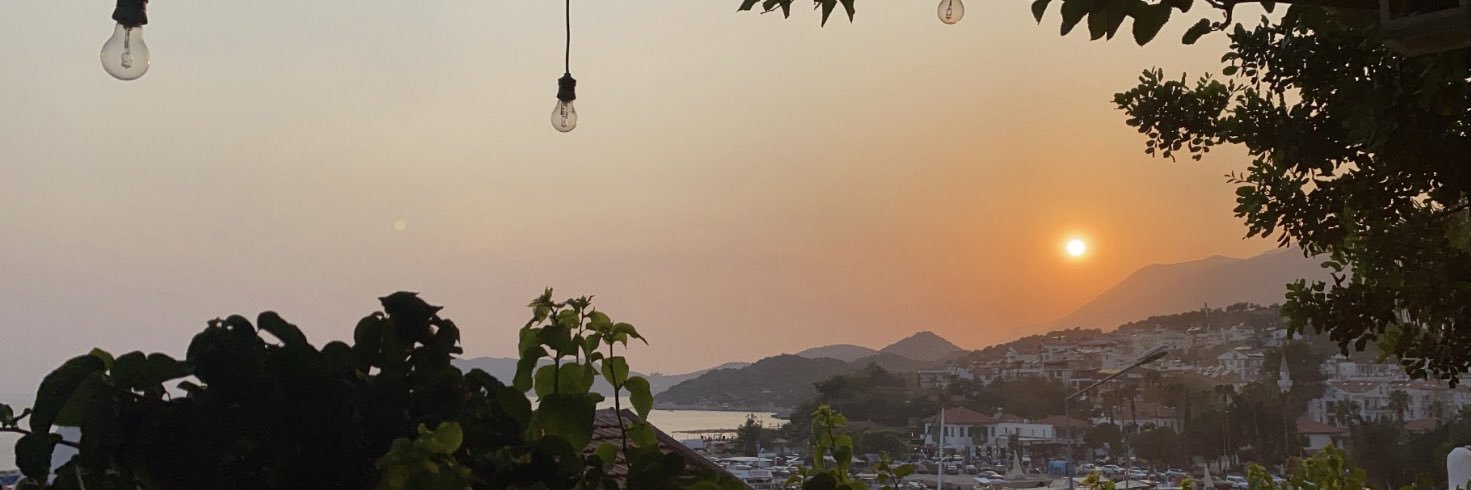 Pınar Aydın banner