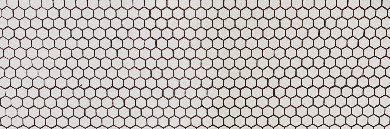 zanegreyx's profile banner image