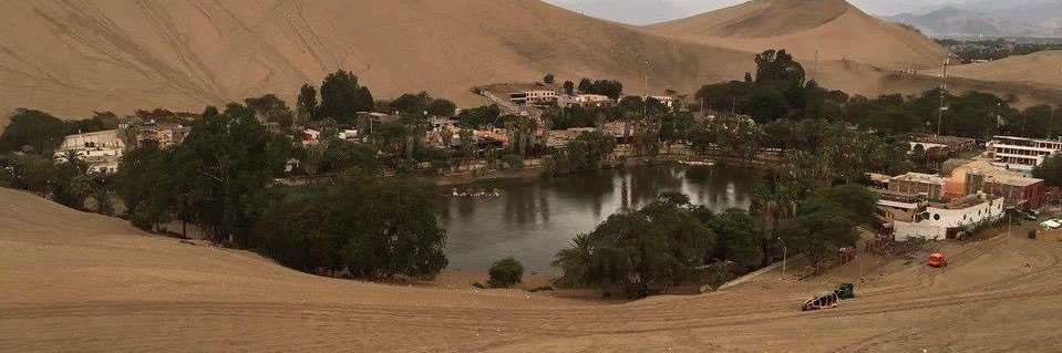 ViborillaShir🐍 banner