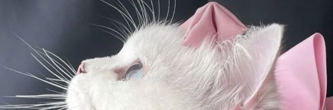 AyuBgs's profile banner image