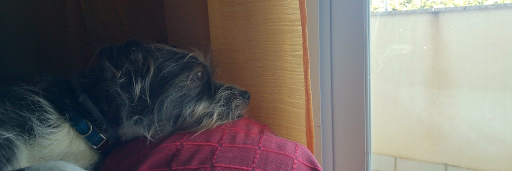 Anilla86's profile banner image