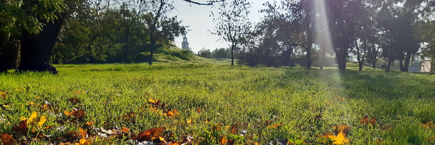ZhendlerBing's profile banner image