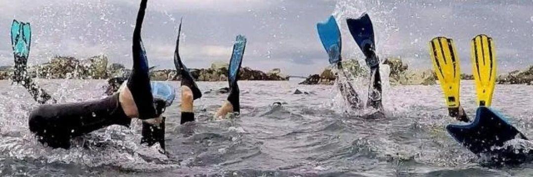 Jérôme Guinot banner