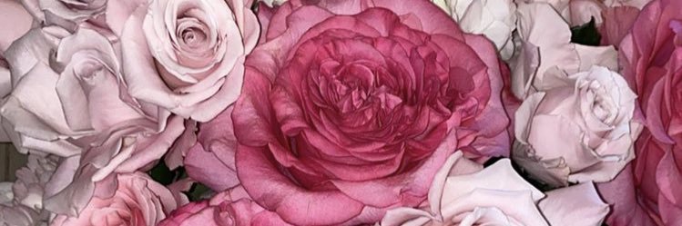 ScharfLarissa's profile banner image