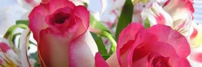 Divaintraining's profile banner image